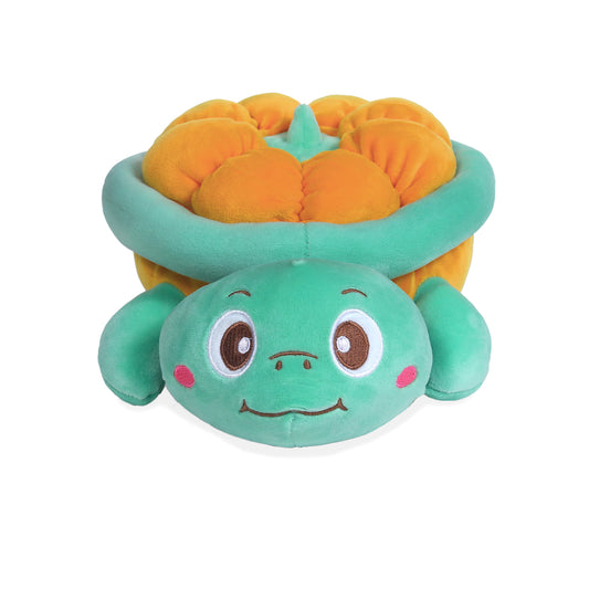 Pumpkin The Playful Turtle
