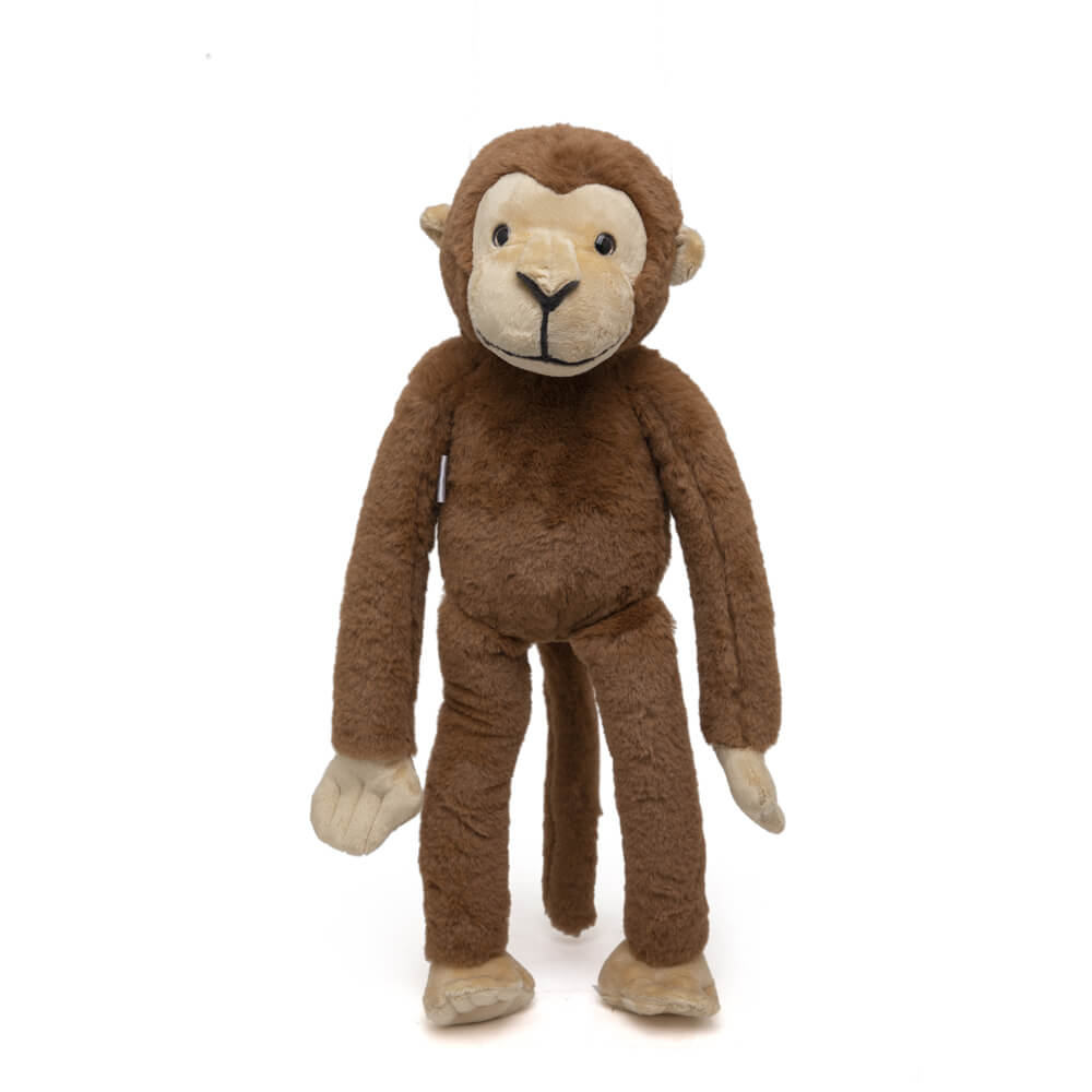 Marcel - The Friendly Chimapanzee