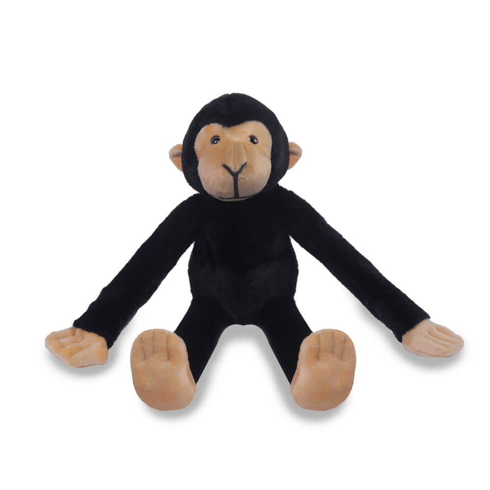 Marcel - The Friendly Chimapanzee