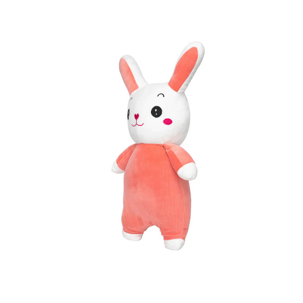 CECE - The Jumpy Bunny