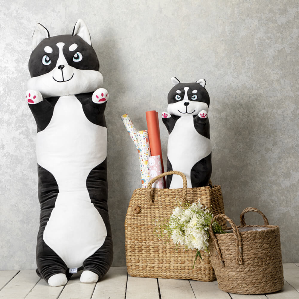 HUBIE - The Cheerful Cat
