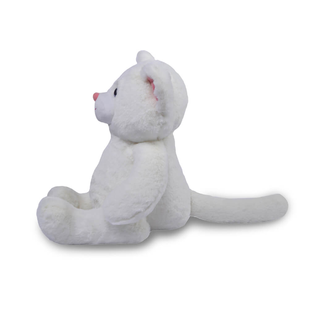 Daisy- The Snowy Cat Fur