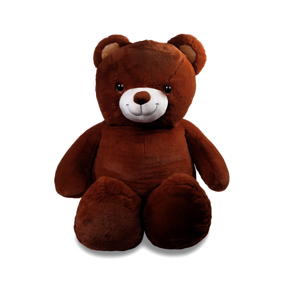 POOKIE - The Fuzzy Bear