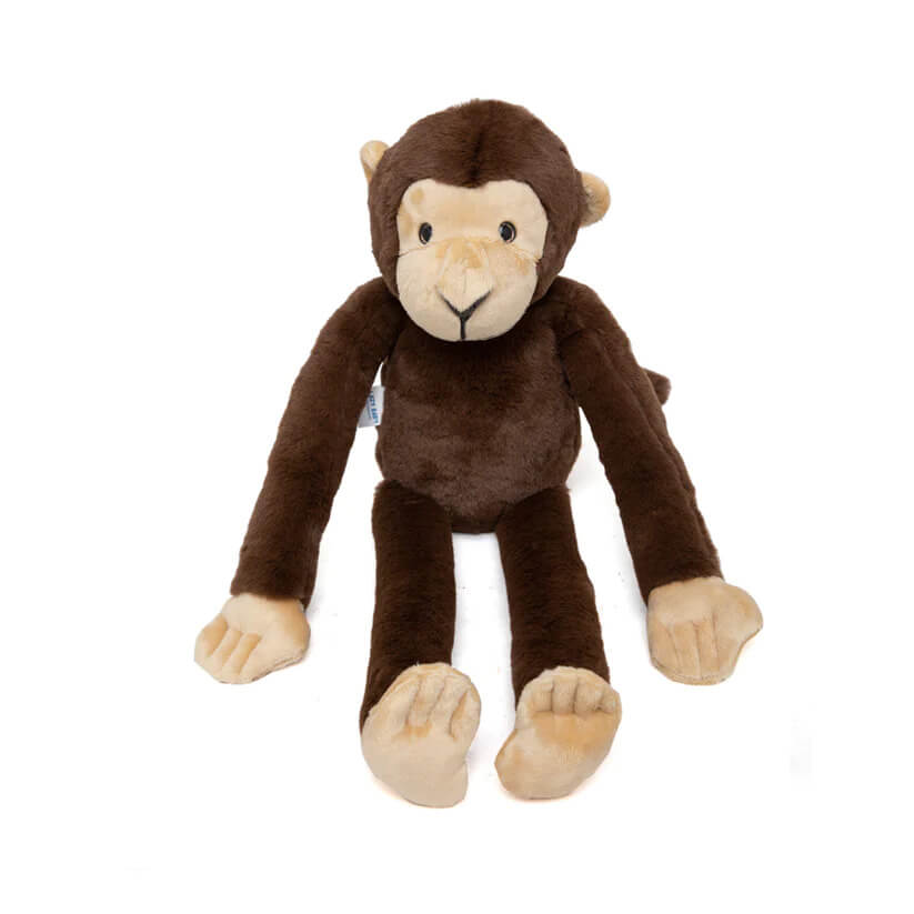 Marcel - The Friendly Chimapanzee