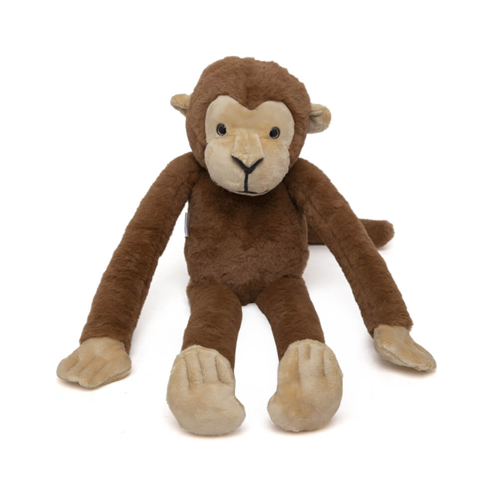 Marcel - The Friendly Chimapanzee
