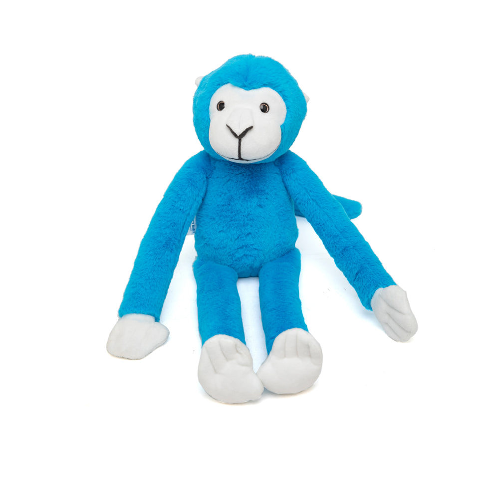 Marcel - The Friendly Chimapanzee