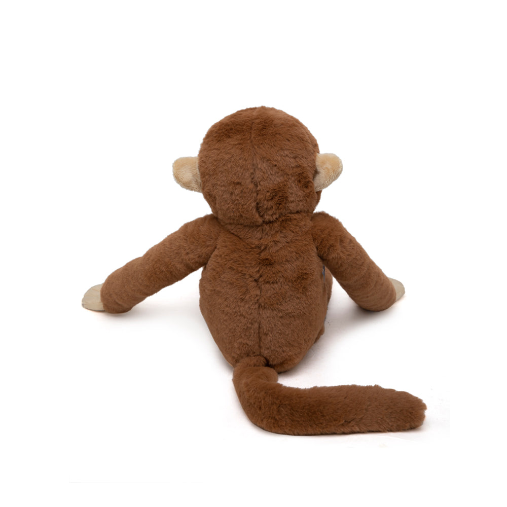 Marcel - The Friendly Chimapanzee