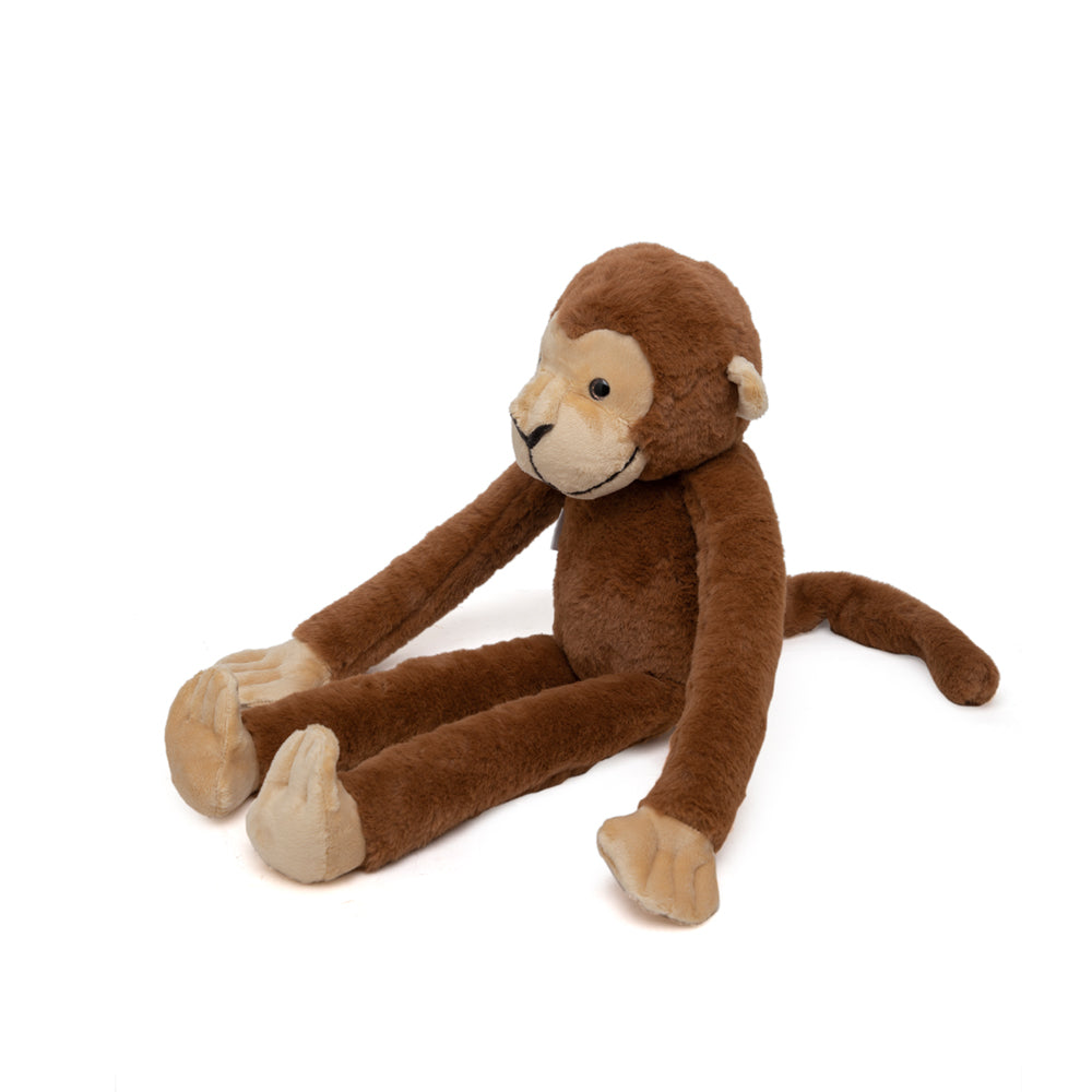 Marcel - The Friendly Chimapanzee