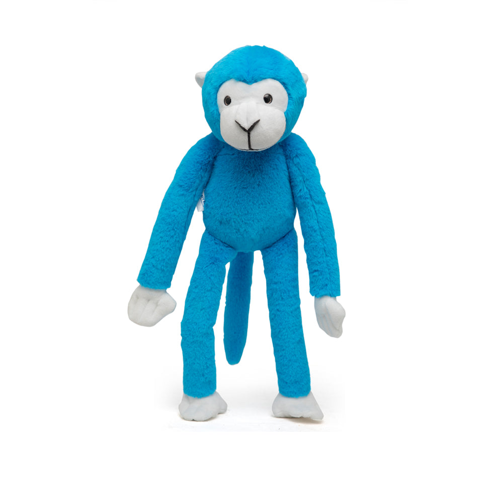 Marcel - The Friendly Chimapanzee
