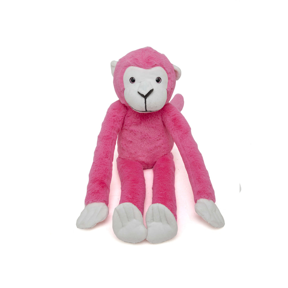 Marcel - The Friendly Chimapanzee
