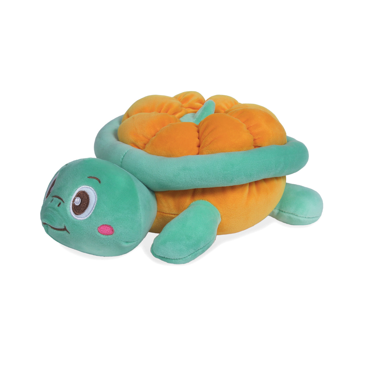 Pumpkin The Playful Turtle