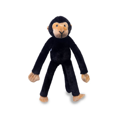 Marcel - The Friendly Chimapanzee