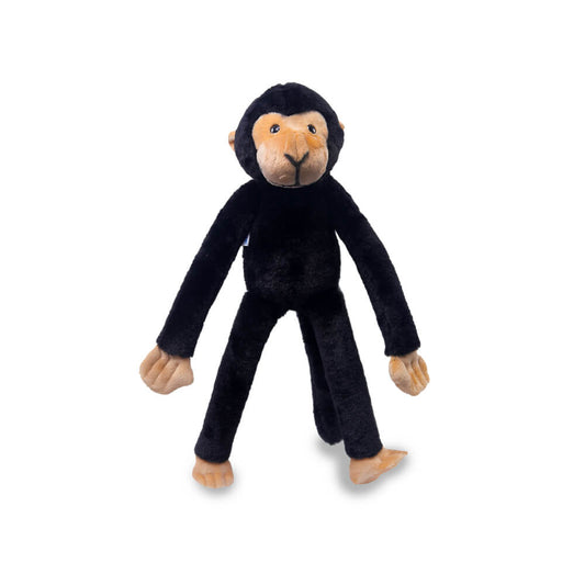 Marcel - The Friendly Chimapanzee